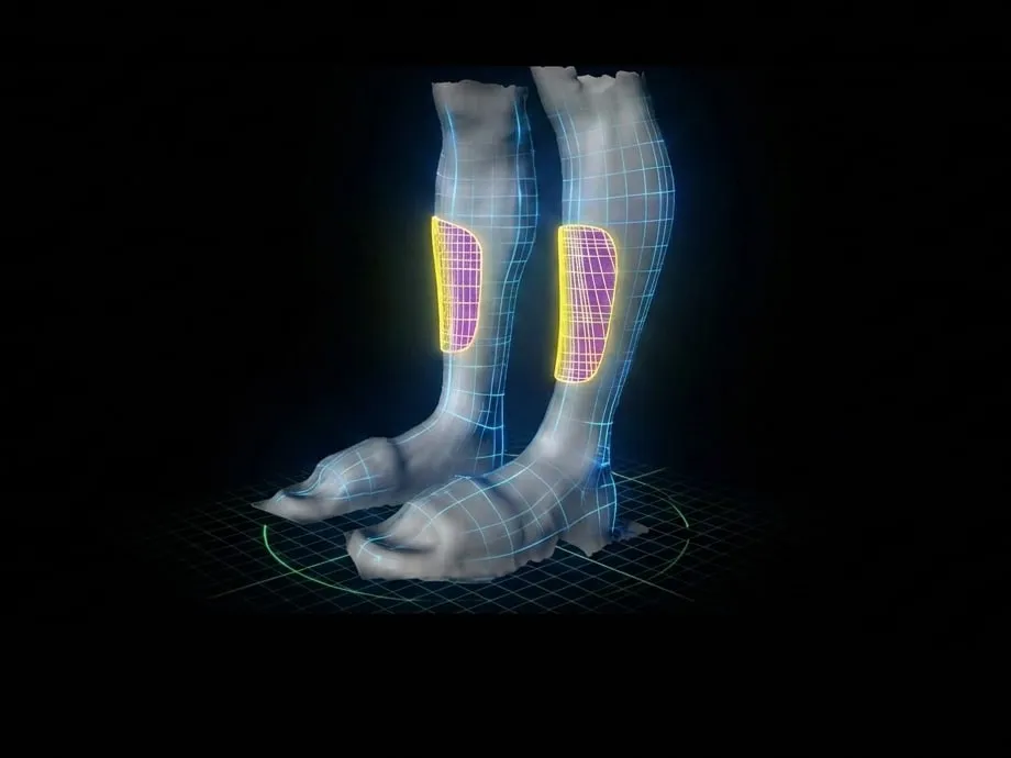 3D model of the legs with the shin guard areas marked